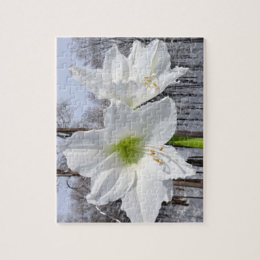 Puzzle Amaryllis blanc et neige II (Vertical)