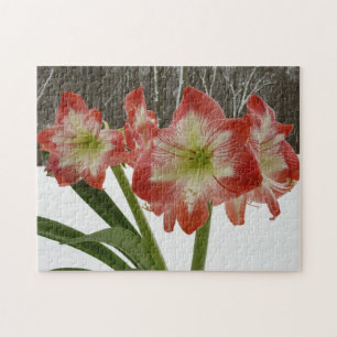 Puzzle Amaryllis dans la neige Rouge Fleurs d'hiver de va