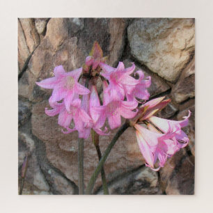 Puzzle - Amaryllis rose