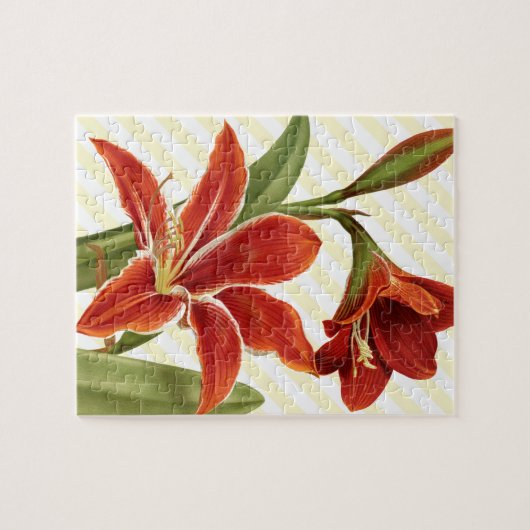 Puzzle Amaryllis vintage (Horizontal)