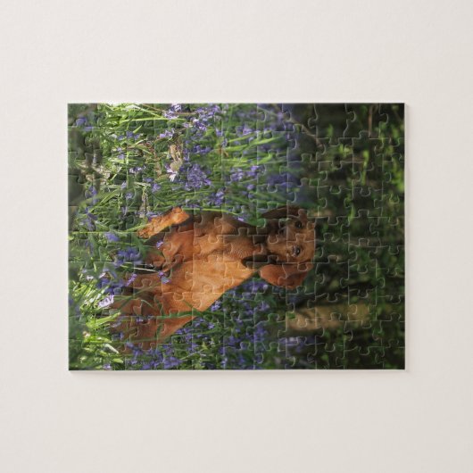 Puzzle Ambre (Horizontal)