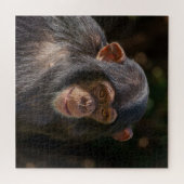 Puzzle Âme joueuse – Gros plan sur un bébé chimpanzé (Horizontal)