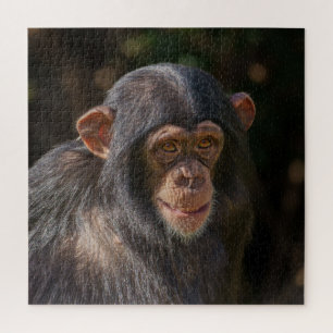 Puzzle Âme joueuse – Gros plan sur un bébé chimpanzé