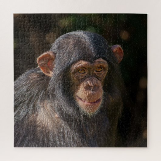 Puzzle Âme joueuse – Gros plan sur un bébé chimpanzé (Vertical)