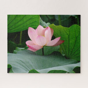 Puzzle Âme montante (Lys d'eau rose clair)