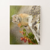 Puzzle américain (Vertical)