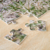 Puzzle Américain Robin (Côté)