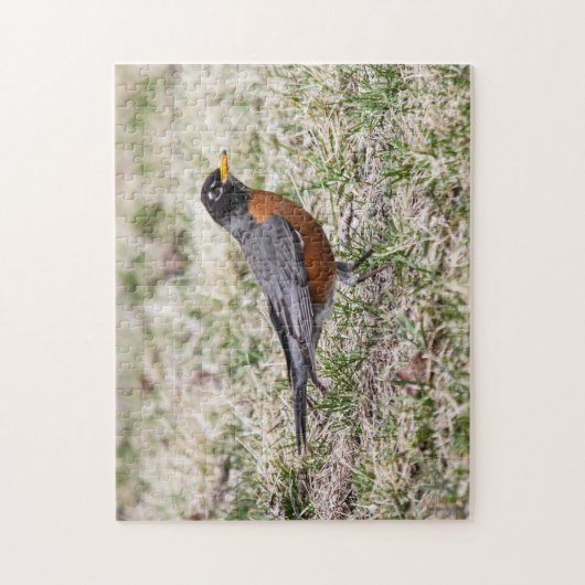 Puzzle Américain Robin (Vertical)