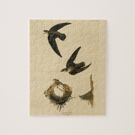 Puzzle American (Chimney) Swift Audubon, Birds of America (Vertical)