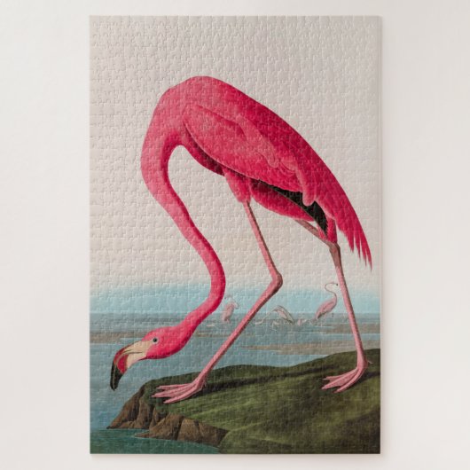Puzzle American Flamant rose Birds of America Audubon Imp (Vertical)