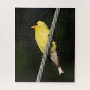 Puzzle American Gold Finch -Dark Green background