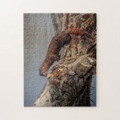 Puzzle American Mink (Vertical)