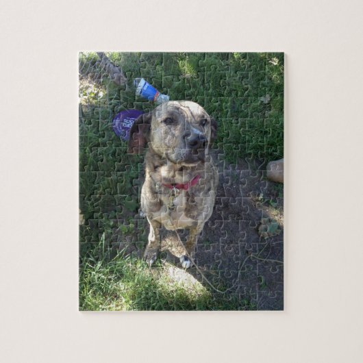 Puzzle American Pit Bull Terrier (Vertical)