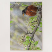 Puzzle American Robin perché sur une branche fleurie (Vertical)