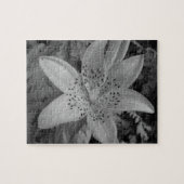 Puzzle American Tiger Lily (Horizontal)