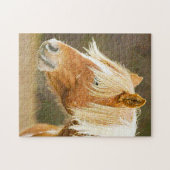 Puzzle American Wild Ponies. (Horizontal)