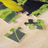 Puzzle Amérique centrale, Honduras. Toucan à prix Keel (Côté)