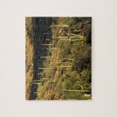 Puzzle Amérique du Nord, États-Unis, Arizona, désert de S (Vertical)