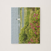 Puzzle Amérique du Nord, États-Unis, Massachusetts, Marth (Vertical)