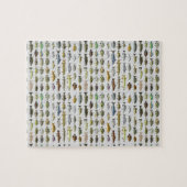 Puzzle Amérique du Nord Groupe de poissons d'eau douce (Horizontal)