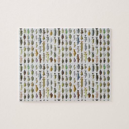 Puzzle Amérique du Nord Groupe de poissons d'eau douce (Horizontal)