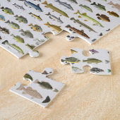 Puzzle Amérique du Nord Groupe de poissons d'eau douce (Côté)