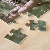 Puzzle Amérique du Sud, Equateur, Amazonie. Ocelot (Côté)
