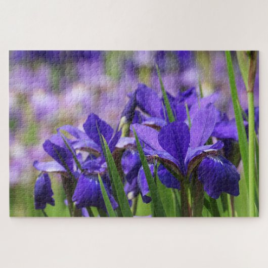 Puzzle Améthyste Purple Irises Jardin Floral (Horizontal)