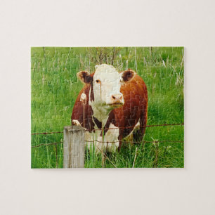 Puzzle Ami câlin mignon 4Jeremy de vache