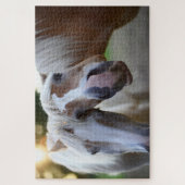 Puzzle Amies amusantes du cheval (Vertical)