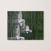 Puzzle Amis de bain (Horizontal)