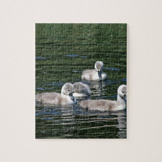 Puzzle Amis de bain (Vertical)