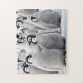 Puzzle Amis de pingouin (Vertical)