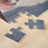 Puzzle Amis en jeu - Pipies Pitbull (Côté)