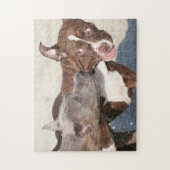 Puzzle Amis en jeu - Pipies Pitbull (Vertical)