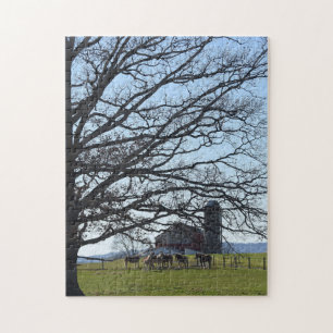 Puzzle Amish