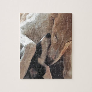 Puzzle Amour de Barzoï