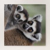 Puzzle **"Amour de la mère : Mummy and Baby Lemur Cuddlin (Horizontal)