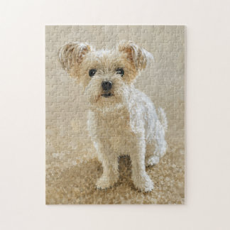 Puzzle Amour de Morkie