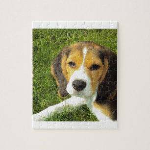 Puzzle Amour de paix d'animaux de compagnie de chien de b