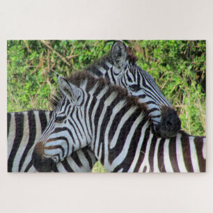 Puzzle amour de zèbre