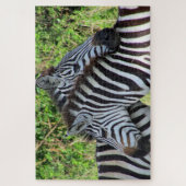 Puzzle amour de zèbre (Vertical)