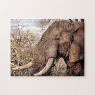 Puzzle Amour d'éléphant 2