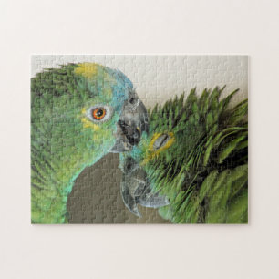 Puzzle Amour pour toujours - perroquets mignons