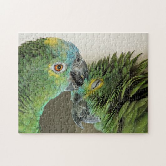 Puzzle Amour pour toujours - perroquets mignons (Horizontal)