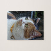 Puzzle Amoureux des animaux de Calico cat (Horizontal)