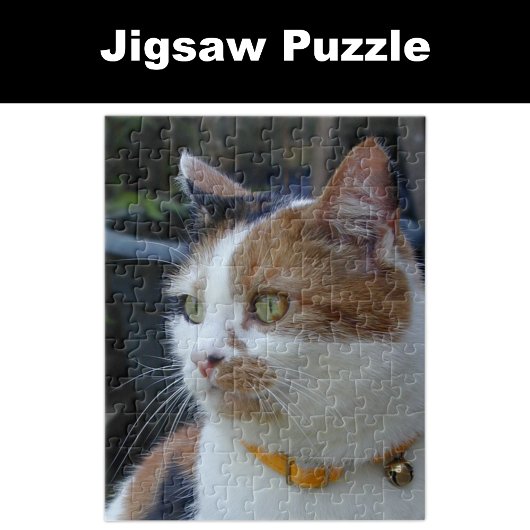 Puzzle Amoureux des animaux de Calico cat