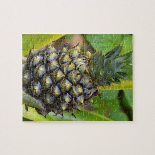 Puzzle Ananas (Horizontal)