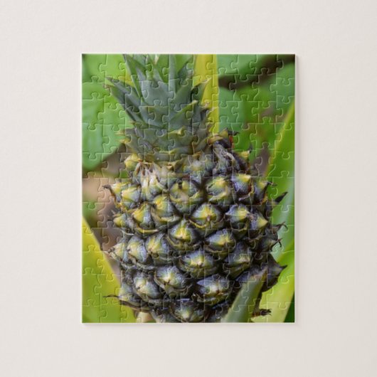 Puzzle Ananas (Vertical)