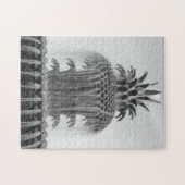 Puzzle Ananas Apaisant (Horizontal)